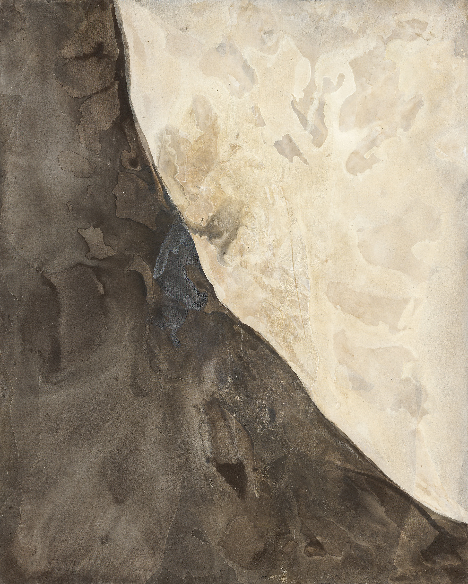 Coexistence – 2025