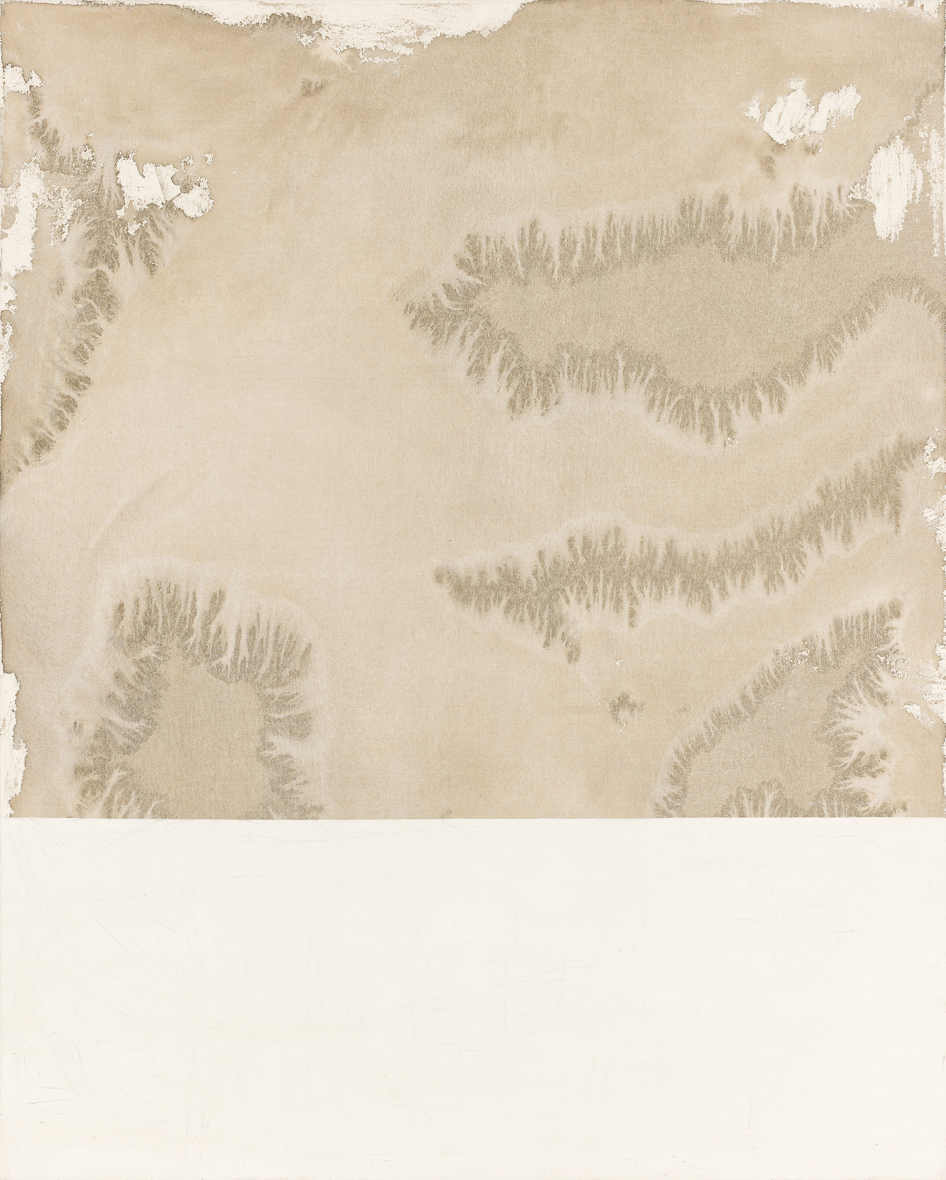 From ash to rebirth – 2025