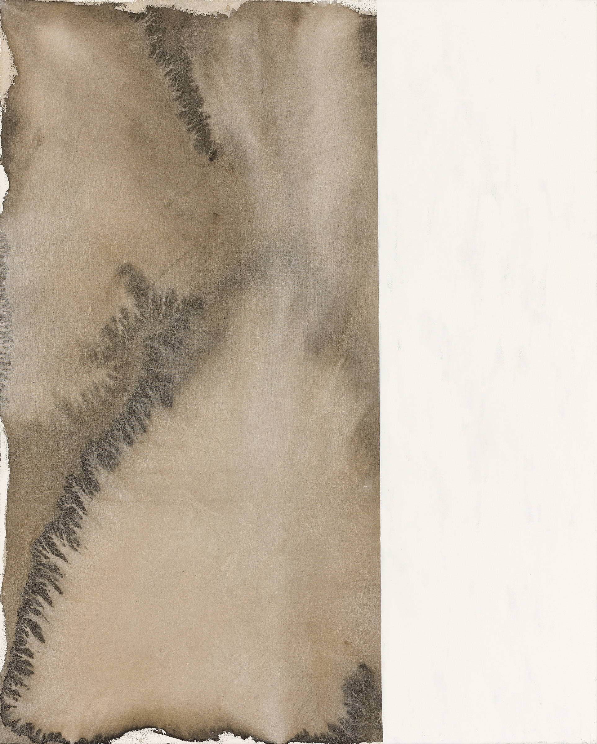 La lumière de l’ombre – 2025