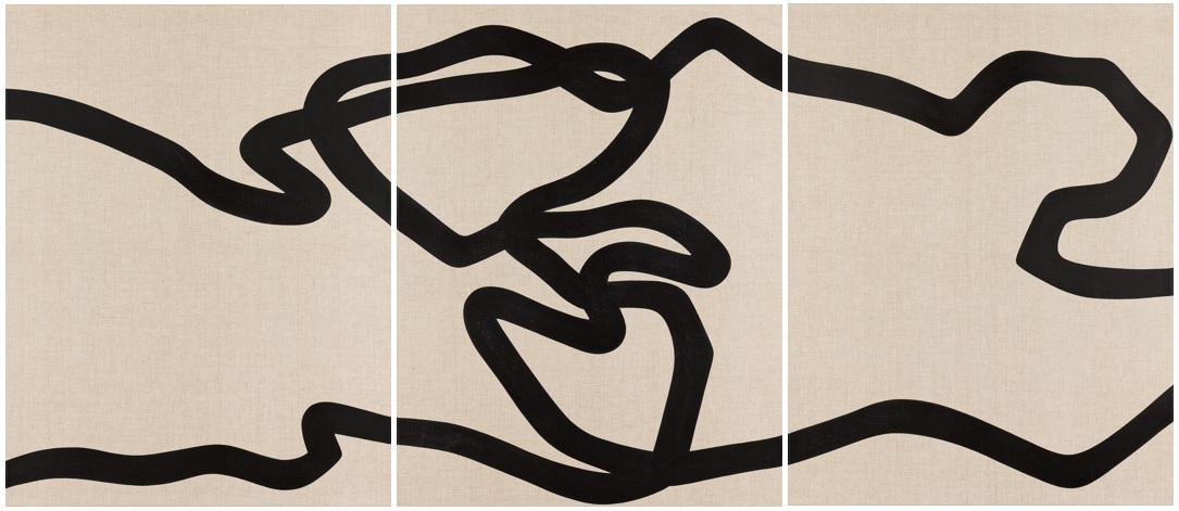 Symbiose I, II, III – 2025